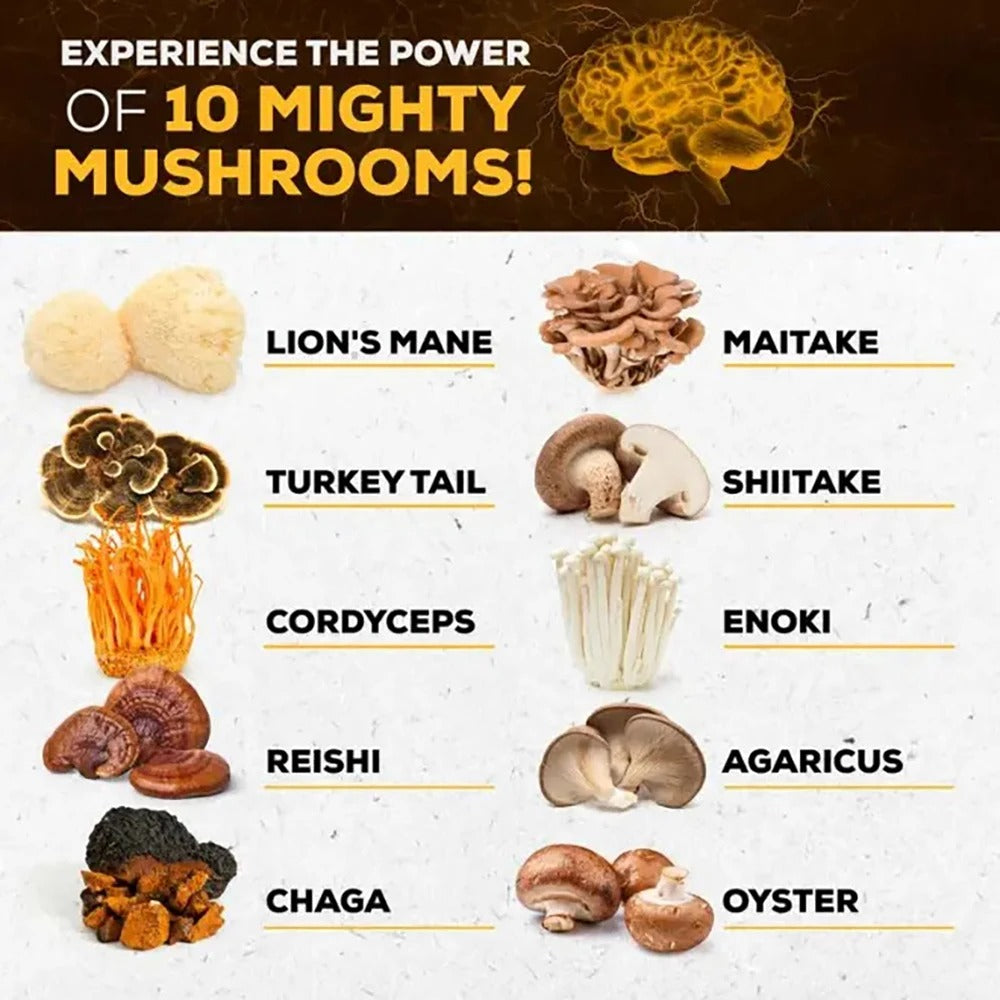 Mushroom Supplement 10x Complex - Lion's Mane, Turkey Tail, Cordyceps, Reishi - Memory & , Brain Support Supplement